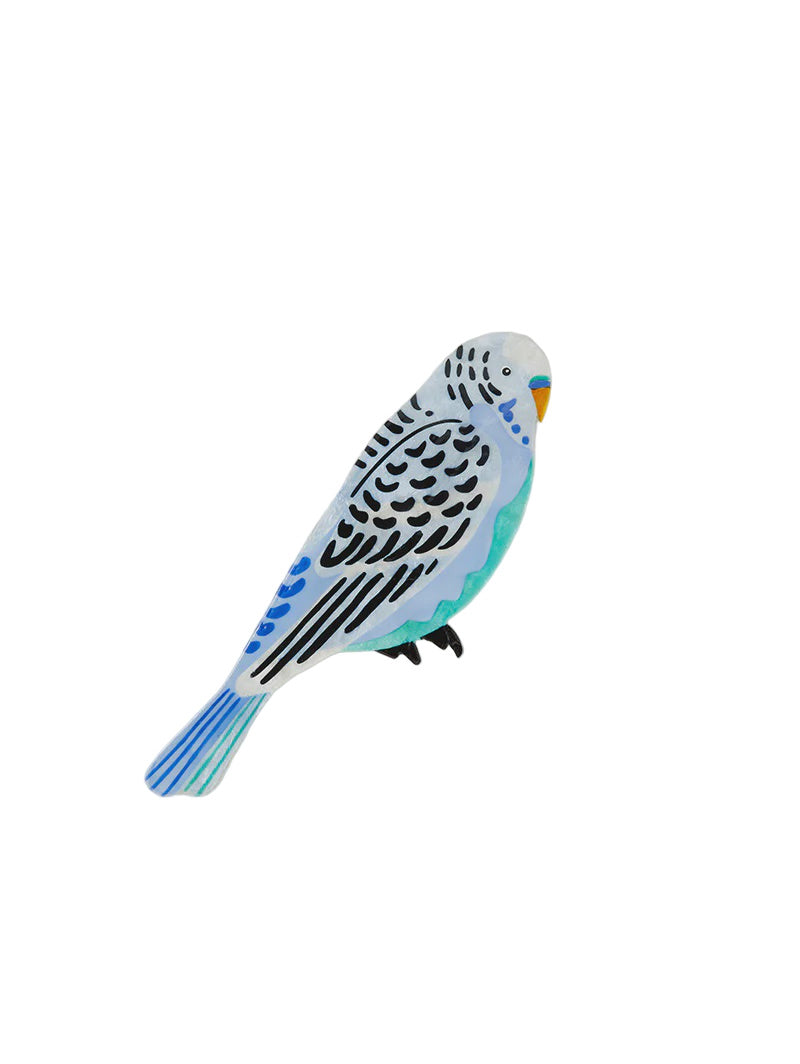 Capiz Shell Art - Aerial - Budgie