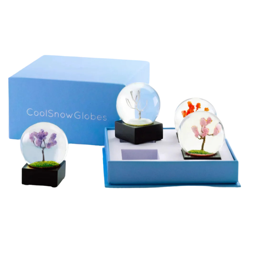 Snow Globe - Mini Seasons Set of 4