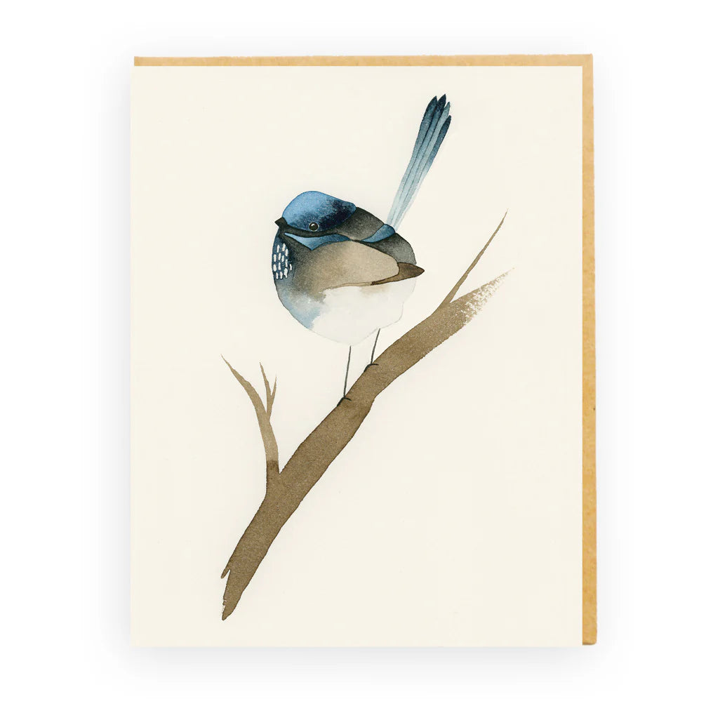 Blue Fairy Wren Card