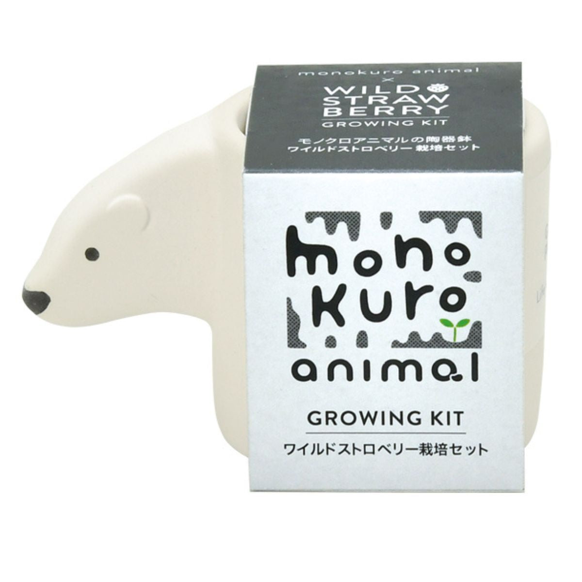 Monokuro Polar Bear – Wild Strawberry
