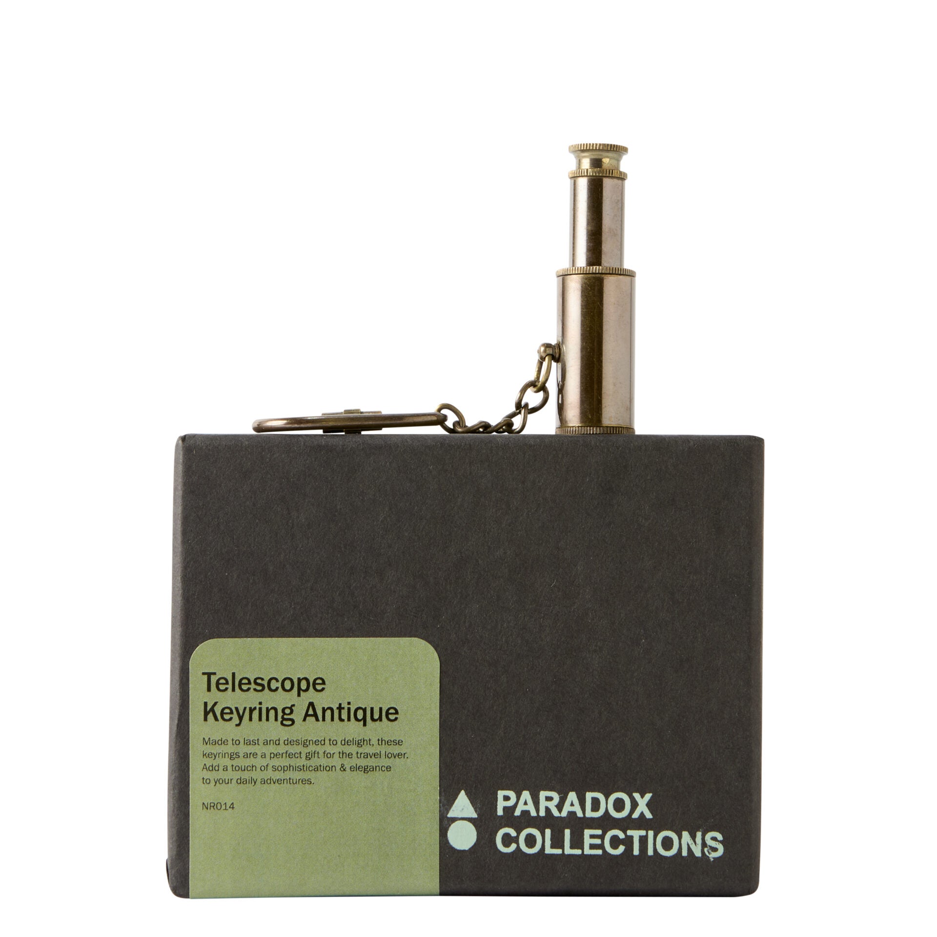 Telescope Keyring