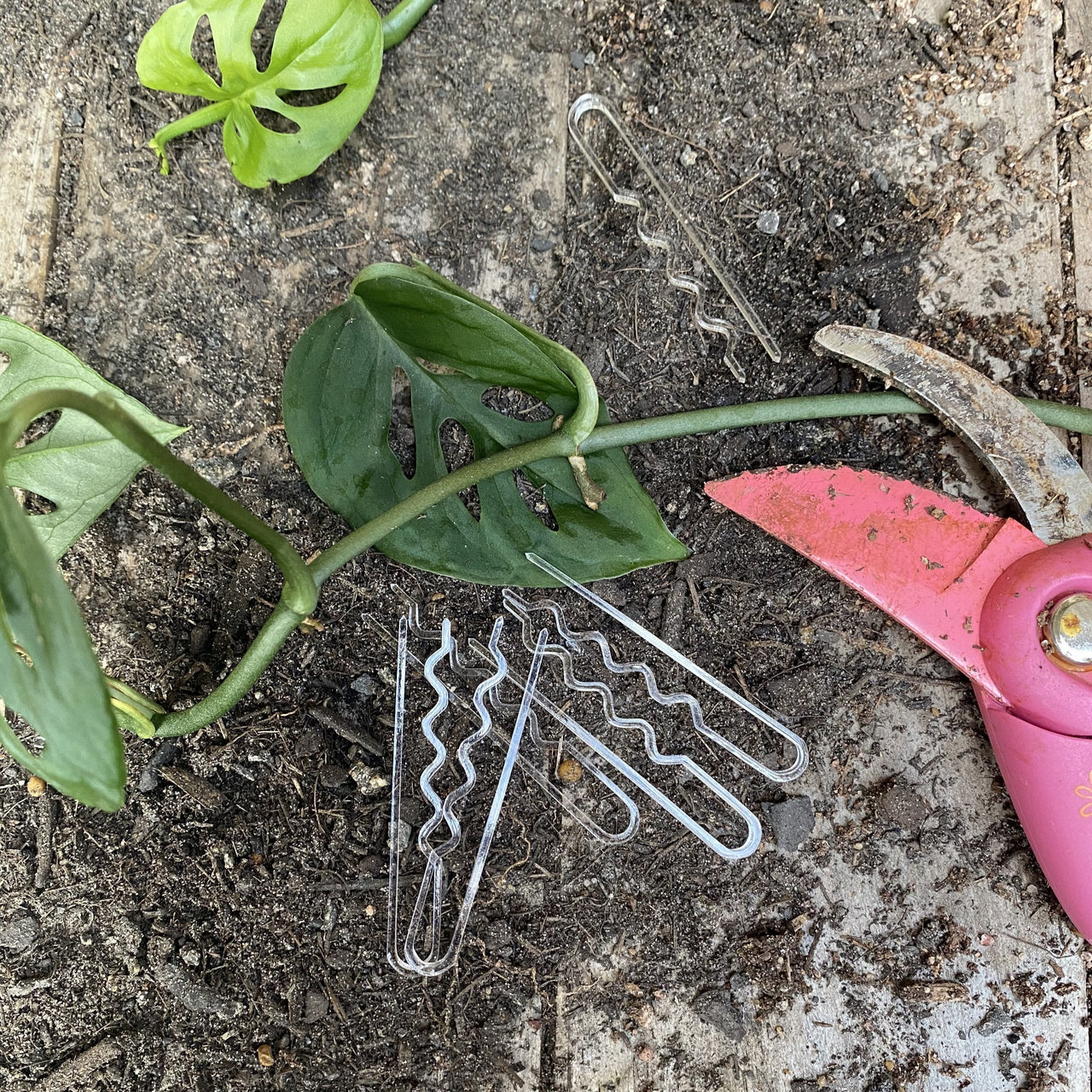 Node Pins - Rainbow Glitter