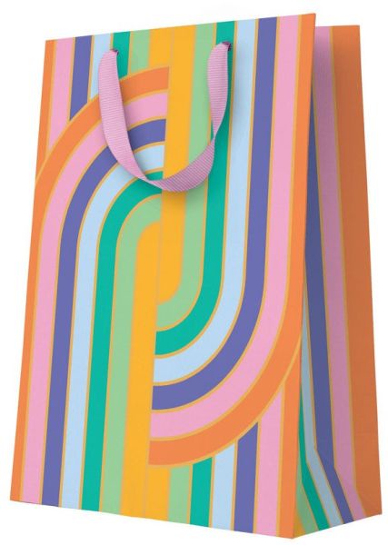 Gift Bag Large - Rainbow Arcs