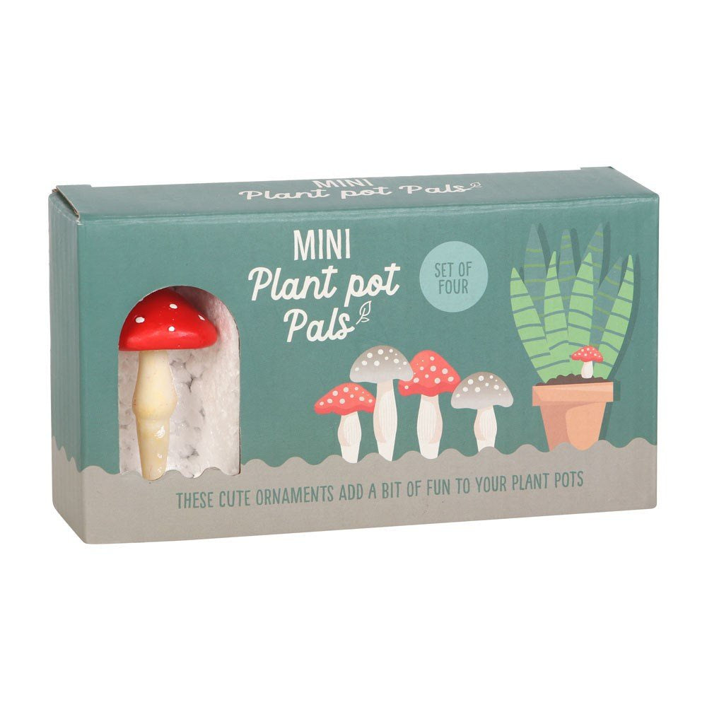 Mini Mushroom Pot Plant Pals