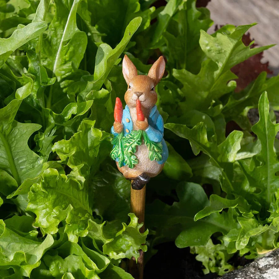Cane Companion - Peter Rabbit Eating Carrots
