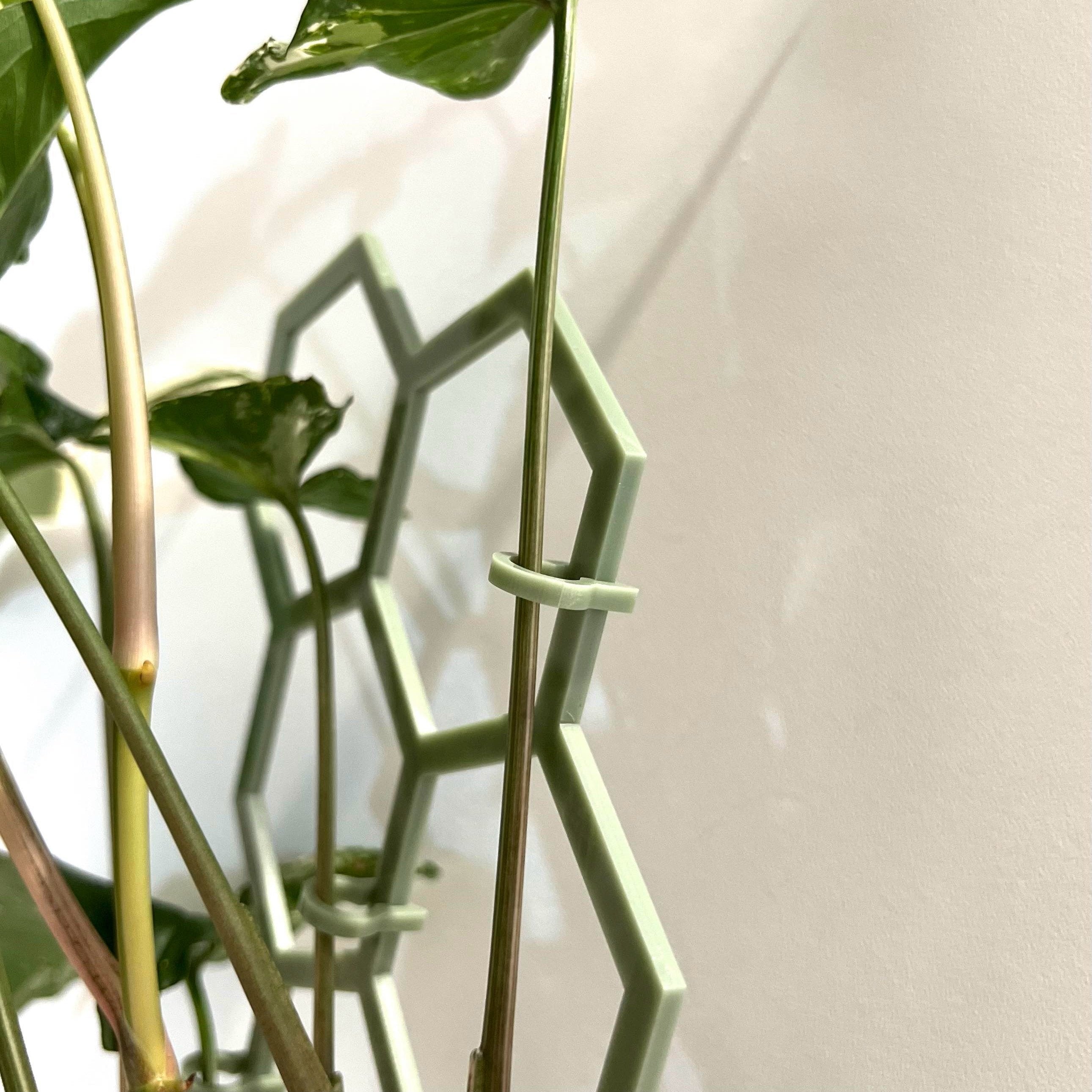 Plant Clips - White