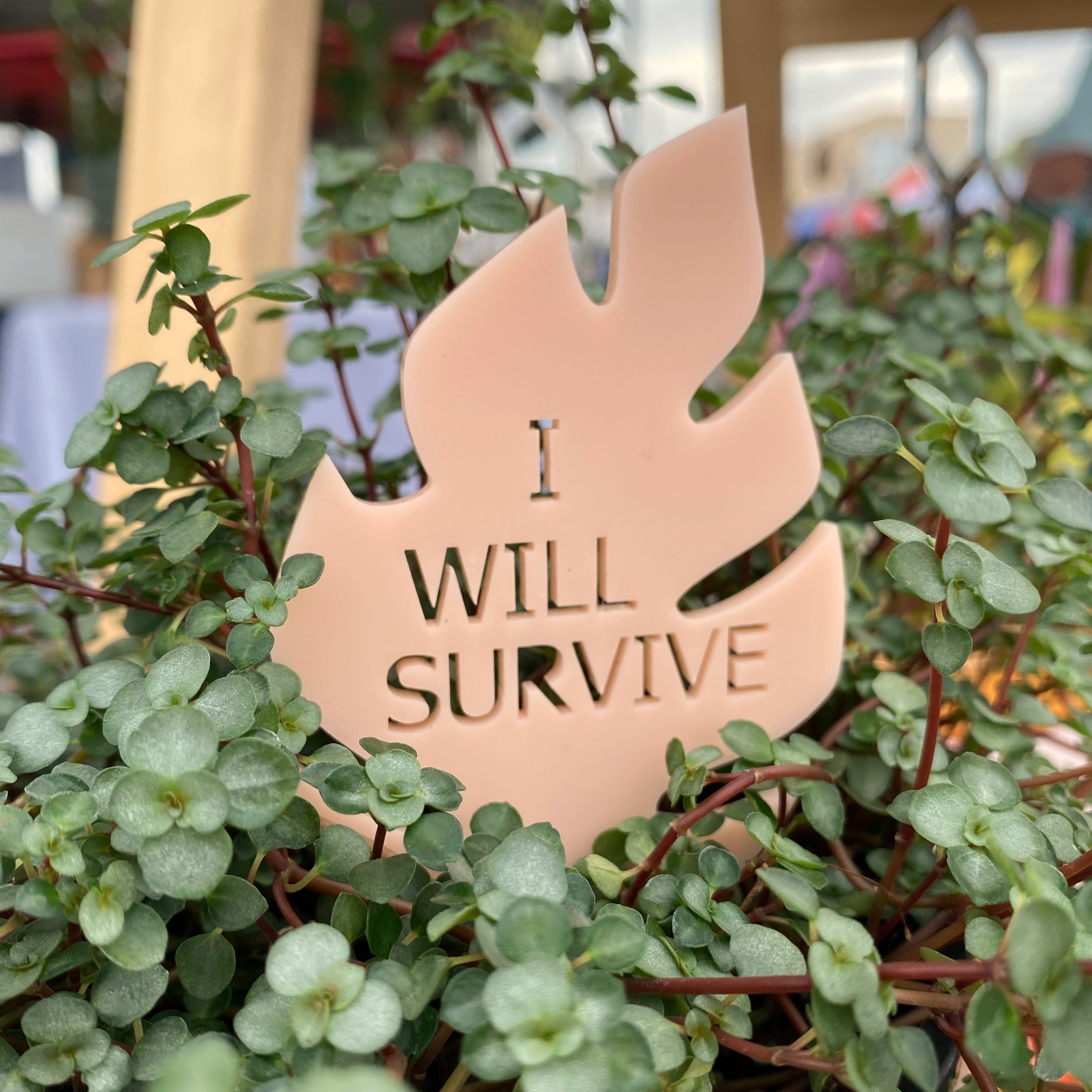 Plant Stake - I Will Survive