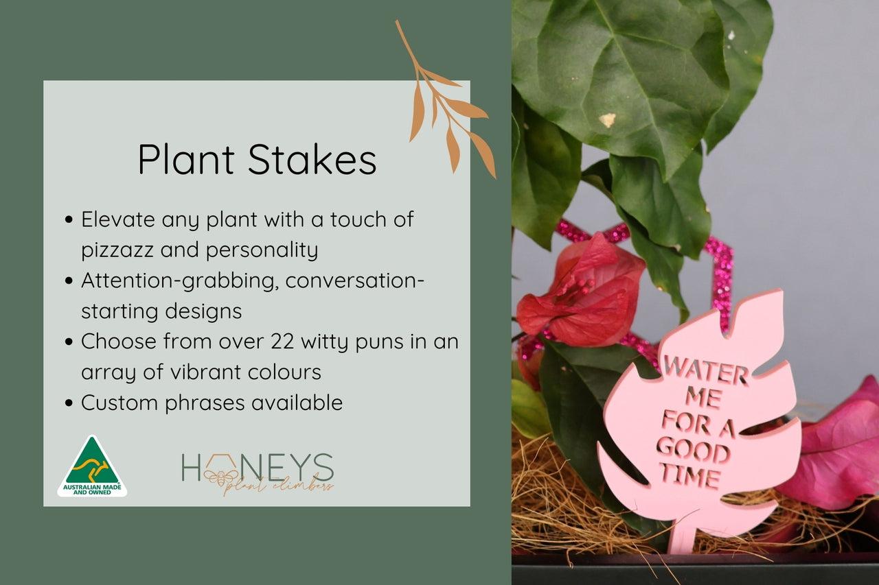Plant Stake - Water Me For A Good Time