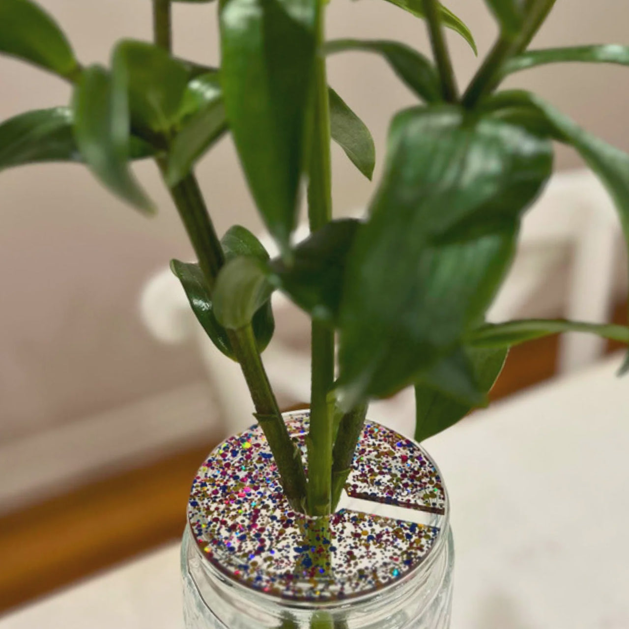 Propagation Disc - Rainbow Glitter