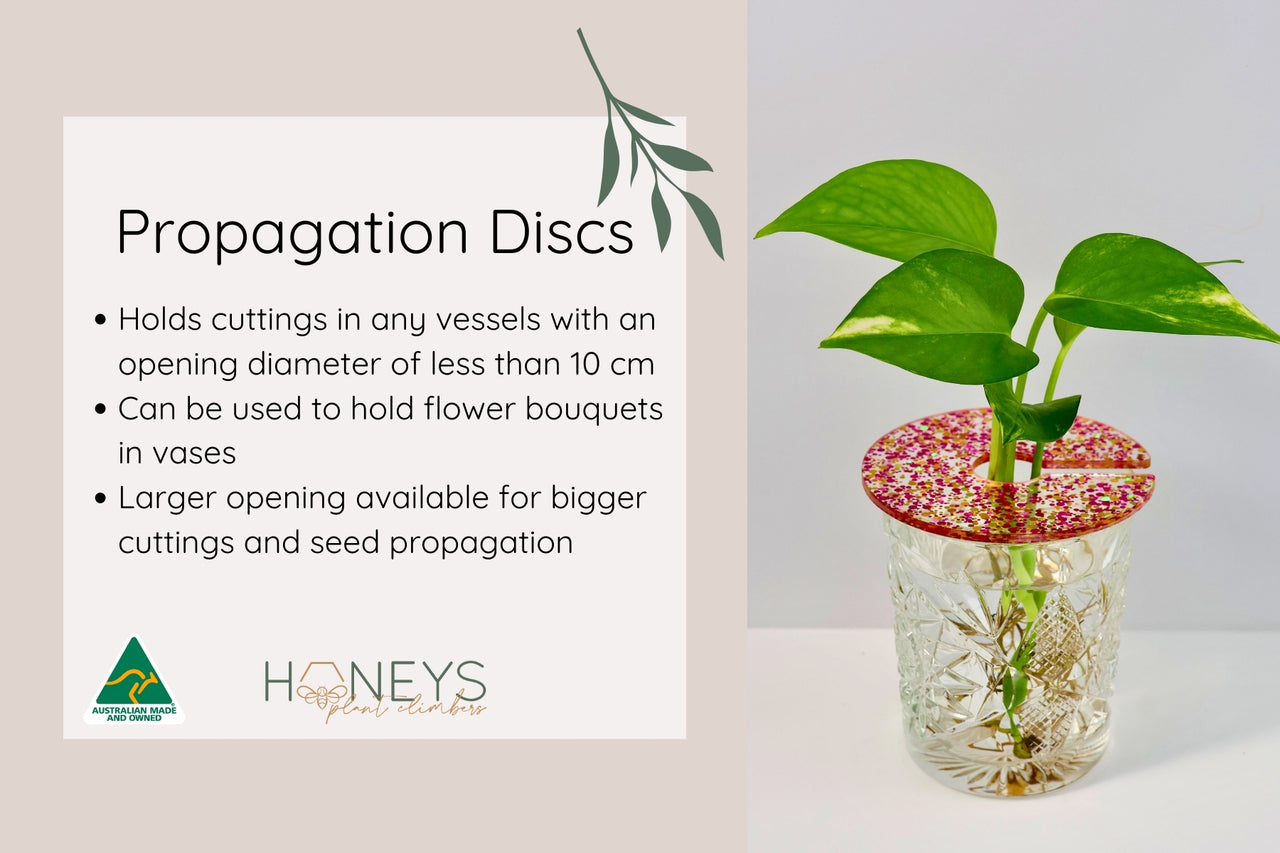 Propagation Disc - Rainbow Glitter