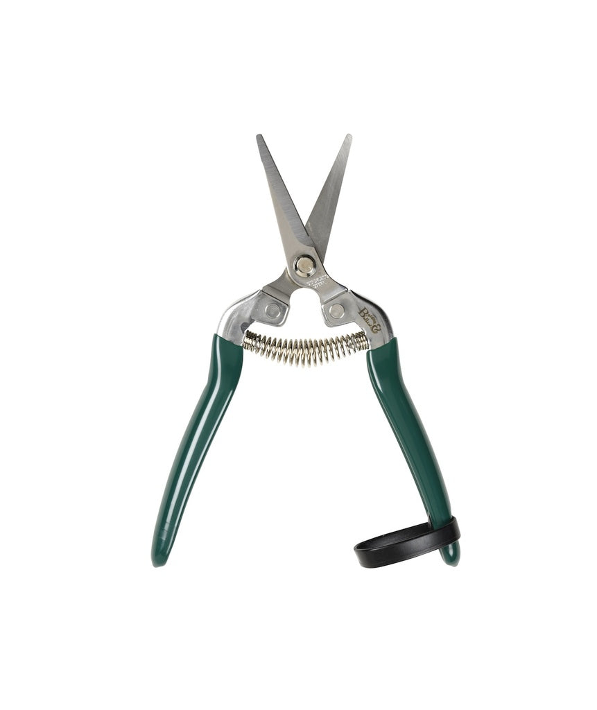 Gardening Snips - Woodland Wonders