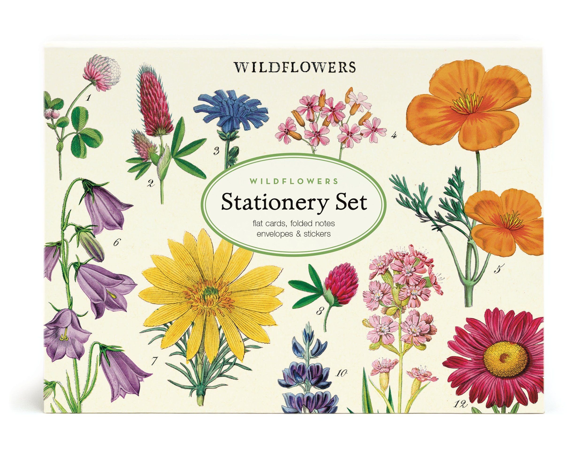 Stationery Set - Wildflowers