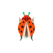 Cardboard Wall Art Small - Coccinelle Rouge