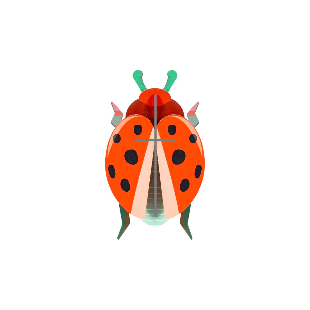 Cardboard Wall Art Small - Coccinelle Rouge