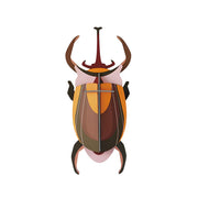 Cardboard Wall Art Small - Elephant Beetle