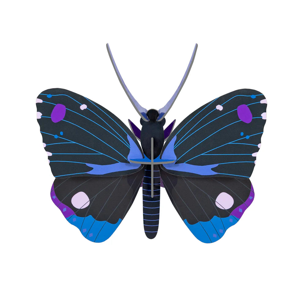 Cardboard Wall Art Small - Blue Diadem Butterfly