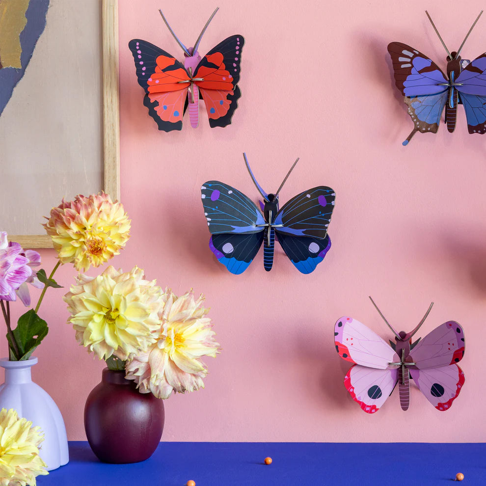 Cardboard Wall Art Small - Blue Diadem Butterfly
