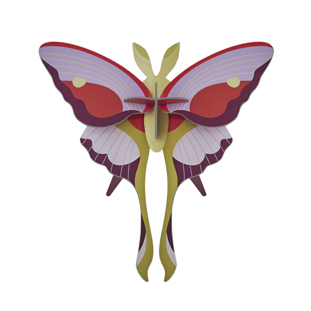 Cardboard Wall Art Small - Lilac Comet Butterfly