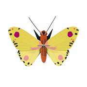 Cardboard Wall Art Small - Luzerne Butterfly