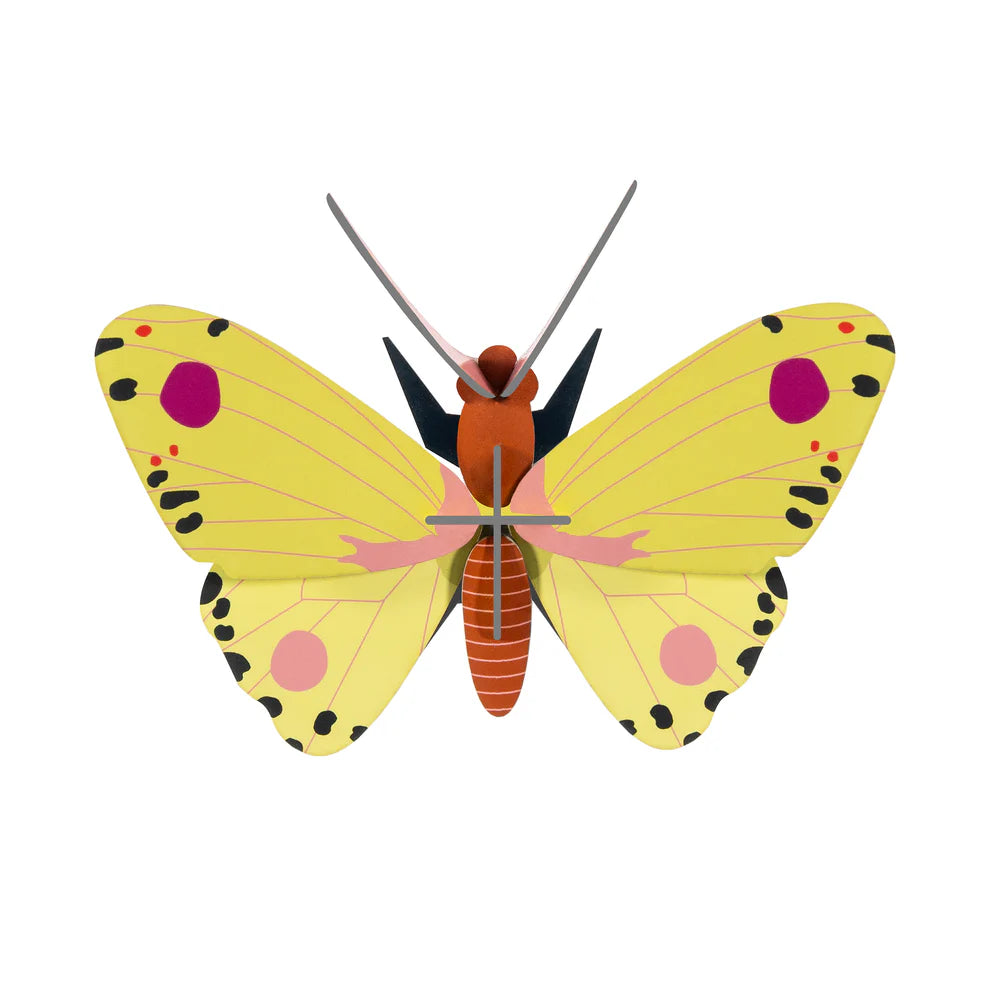 Cardboard Wall Art Small - Luzerne Butterfly