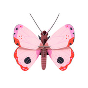 Cardboard Wall Art Small - Rosora Butterfly