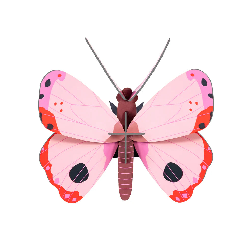 Cardboard Wall Art Small - Rosora Butterfly