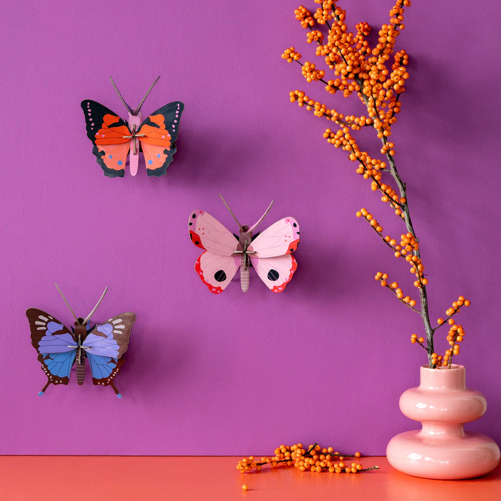 Cardboard Wall Art Small - Rosora Butterfly