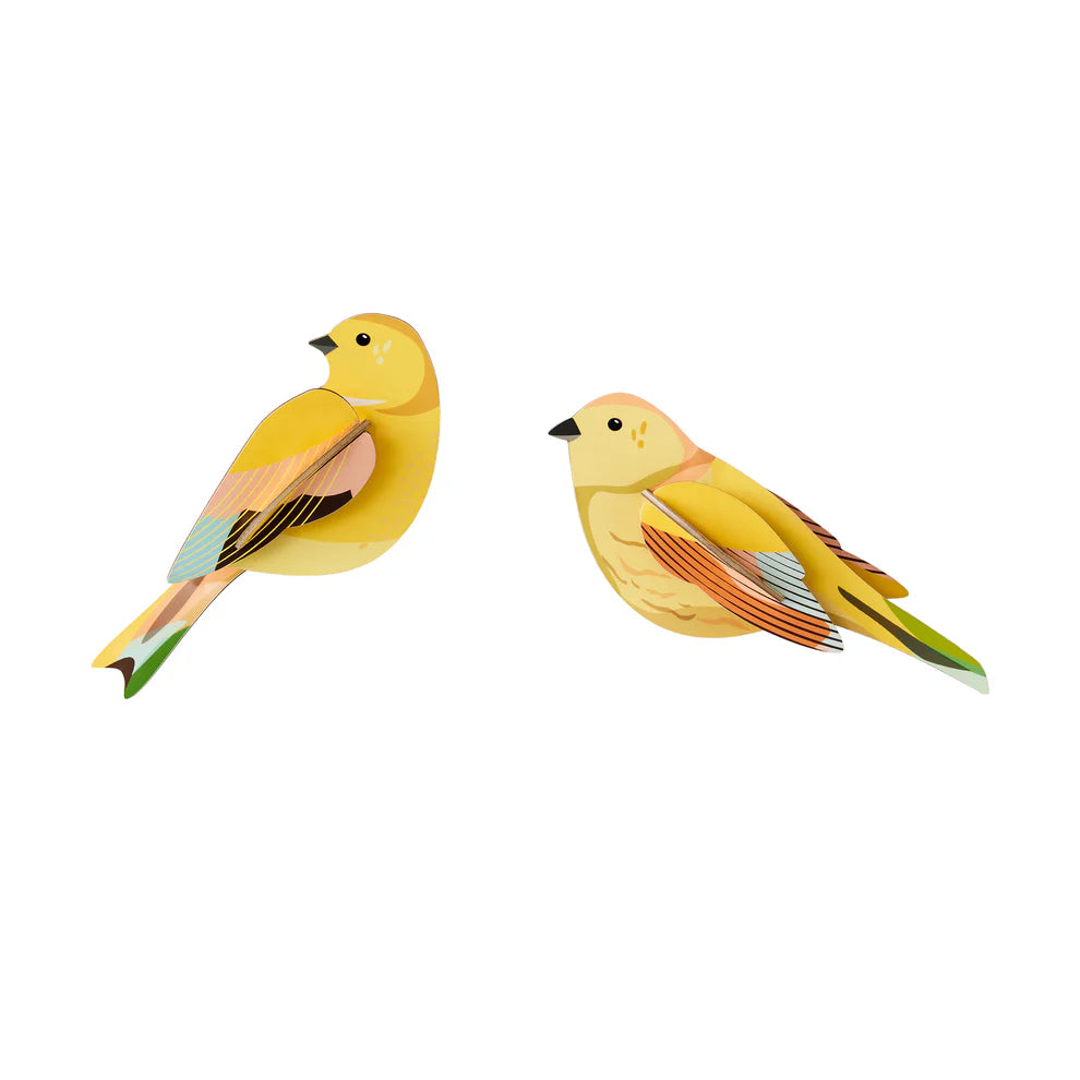 Cardboard Wall Art Garden Bird Duo - Citrinella Pair