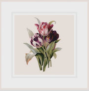 Ikonink Framed Card - Tulips