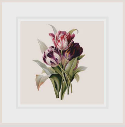 Ikonink Framed Card - Tulips