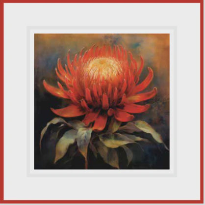Ikonink Framed Card - Waratah