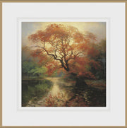 Ikonink Framed Card - Fagus Sylvatica. 1