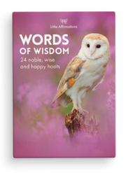 Little Affirmations Words Of Wisdom Quote Cards