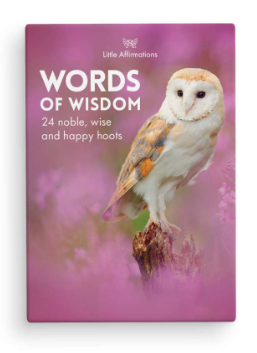 Little Affirmations Words Of Wisdom Quote Cards