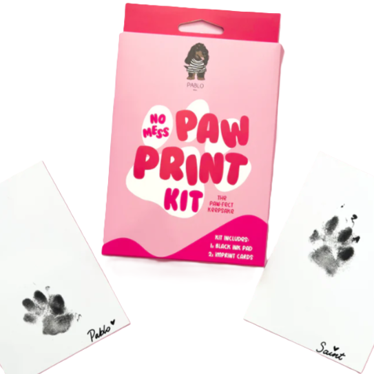 No Mess Paw Print Kit