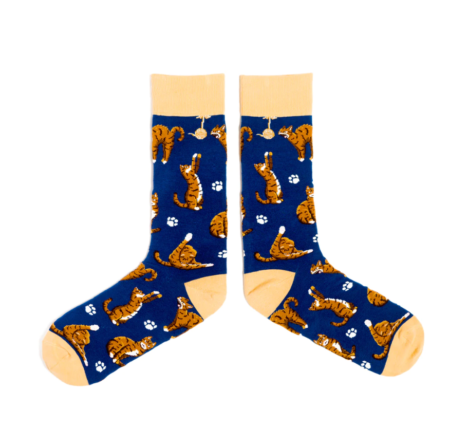Spencer Flynn Men's Socks - Cattitude