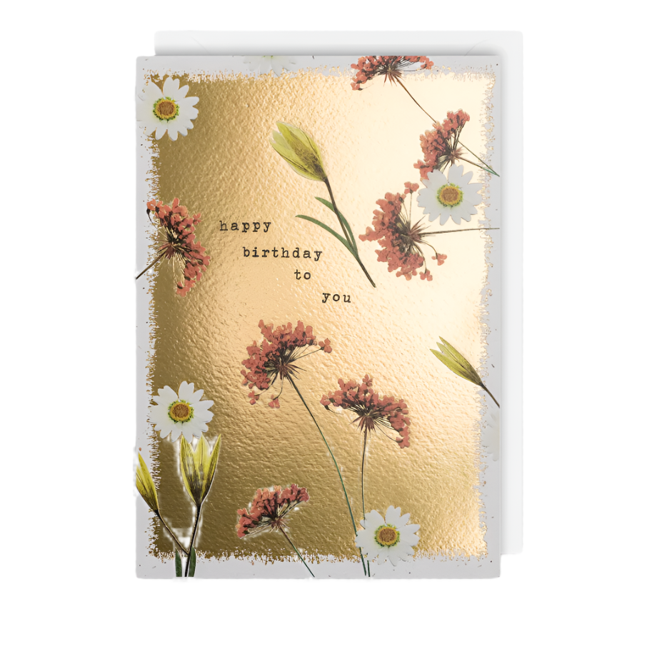 Birthday Daisy and Pink Meadow Card