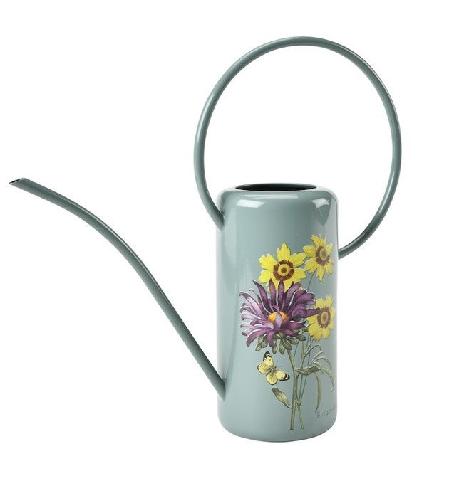 Indoor Watering Can - Asteraceae
