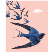 Swallows & Pink Sky