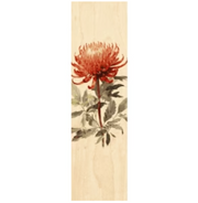 Woodhi Wooden Bookmark - Waratah