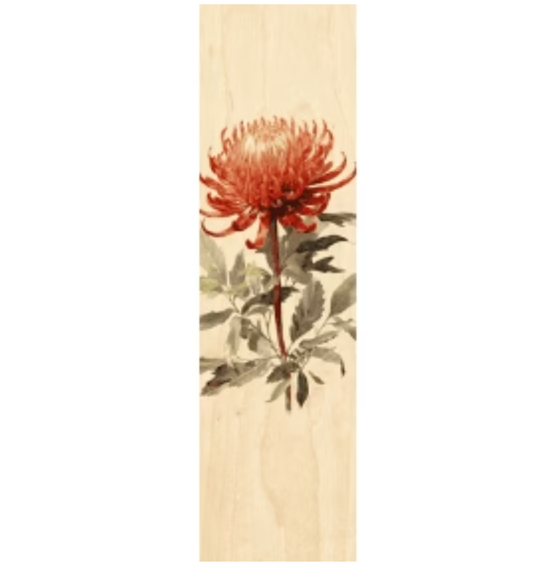 Woodhi Wooden Bookmark - Waratah