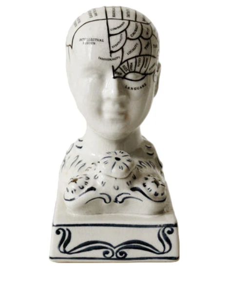 Phrenology Head Ink Well