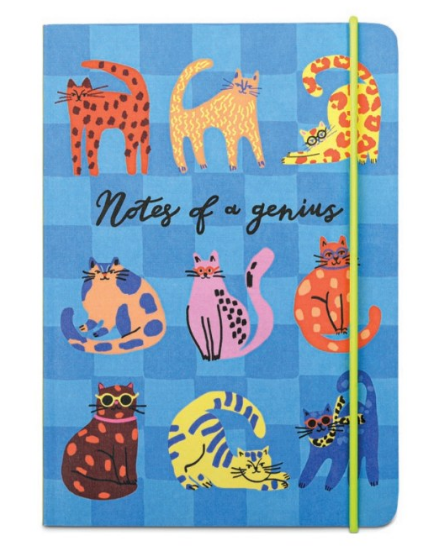 Notebook - Notes of a Genius