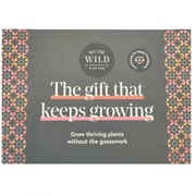 Essential Plant Care Kit - Mini