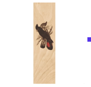Woodhi Wooden Bookmark - Black Cockatoo