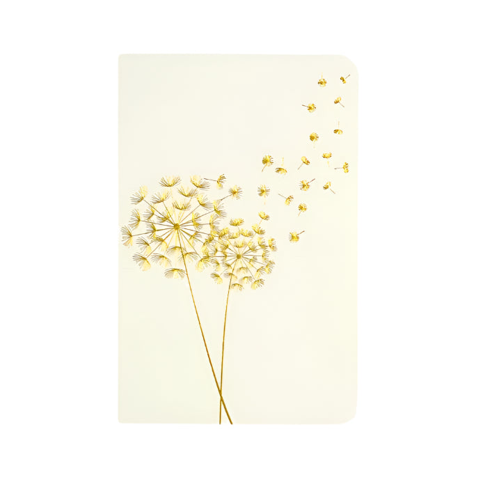 Jotter Mini Notebook Set - Dandelion Wishes