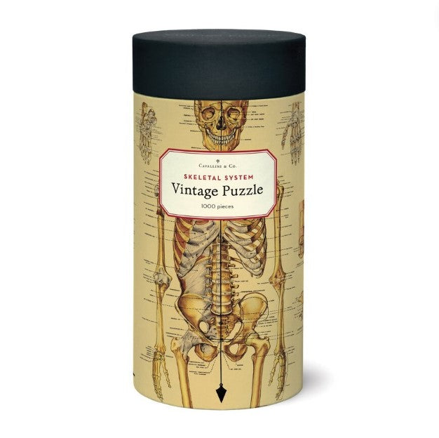1000pc Vintage Puzzle - Skeletal System