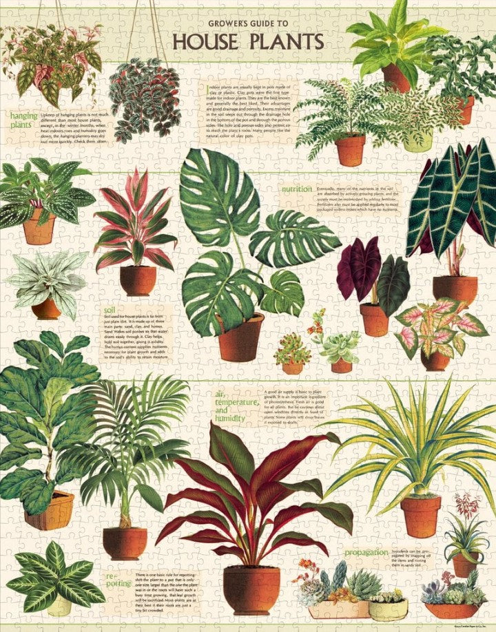 1000pc Vintage Puzzle - House Plants