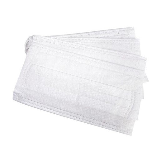 Mask Case with 4 Disposable Masks