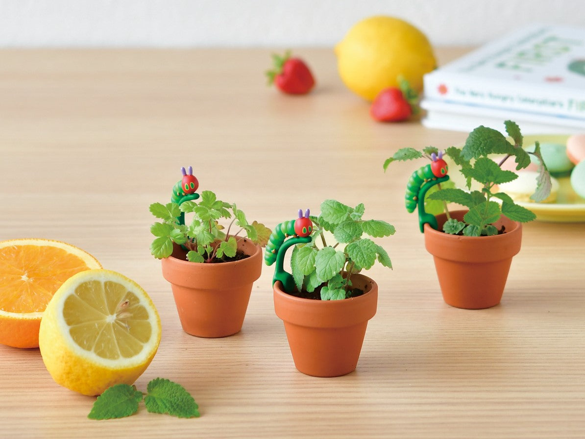 Very Hungry Caterpillar Planter